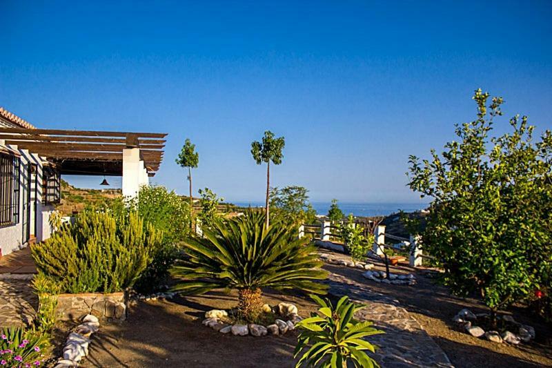 פריחיליאנה Villa Del Sol מראה חיצוני תמונה